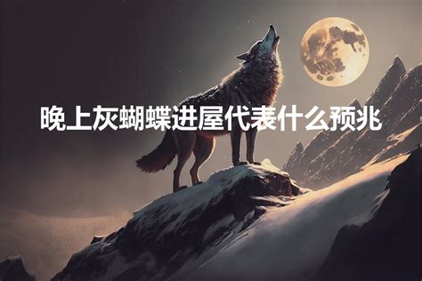 蝴蝶进家 意思|蝴蝶进屋代表什么预兆